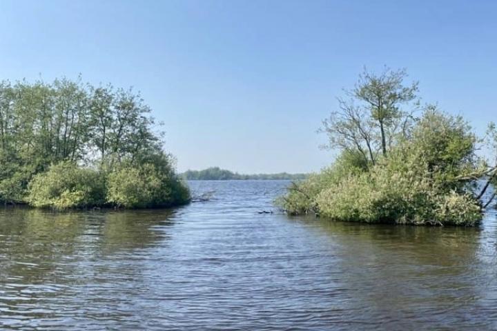 Foto van water waar begroeiing bovenuit steekt